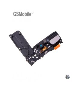 ALTAVOZ_BUZZER_GALAXY_S10.jpg