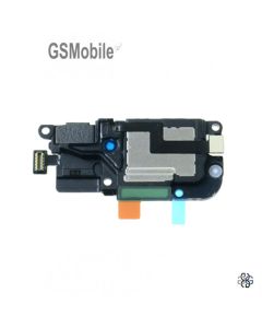 modulo_de_altavoz_huawei_p305.jpg